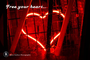 Einen schönen Valentinstag!