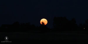 Der Mond geht auf