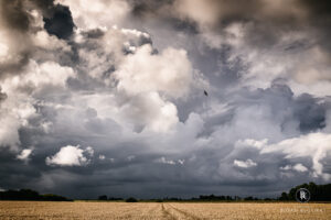 Wolken und Wetter