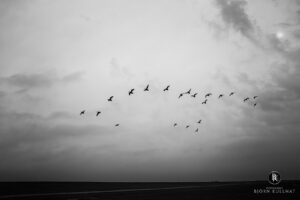 Ja wo fliegen se denn?