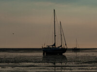 Segelboote im Watt bei Cuxhaven