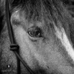 Was siehst du in mir?