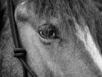 Was siehst du in mir?