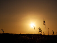 Sonnenuntergang am Strand in Dänemark