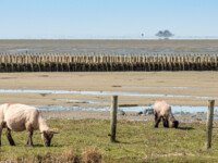 Auf Entdeckungsreise
