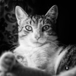 Eddie sieht das ganz entspannt