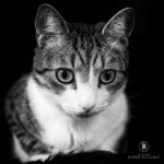 Eddie ist ganz bei der Sache...