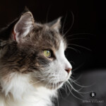 Wir geniessen die Aussicht