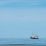 Was kuttert denn da?